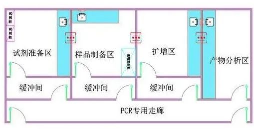 PCR實驗室，你了解嗎？(圖2)